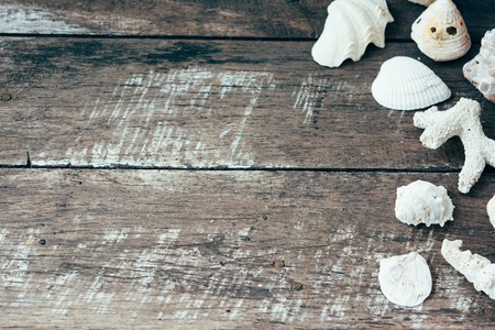 Seashells on the vintage wooden background. Summer wallpaper.