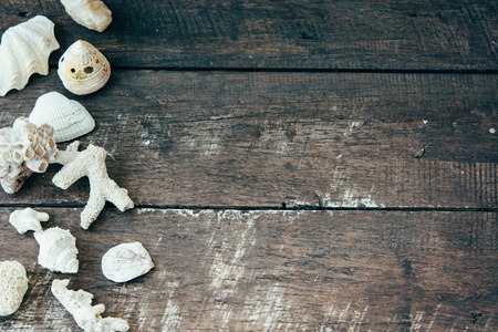 Seashells on the vintage wooden background. Summer wallpaper.の写真素材