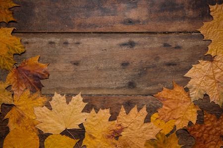 Autumn leaves on rustic wooden background. Top view with copy space. Wallpaper for Halloween party and seasonal rural festival.の写真素材