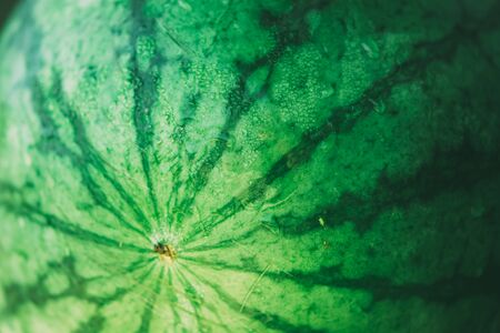 Abstract fruit blurred background. Watermelon macro photography. Beautiful backdrop