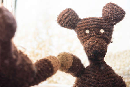 teddy bear in homeの写真素材
