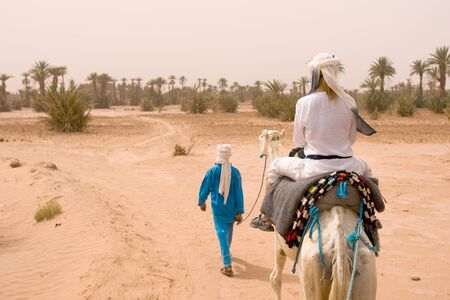 A camel trip through the Sahara desert, Moroccoの写真素材