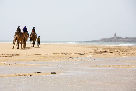 Group of tourists on camels on coast of oceanの写真素材