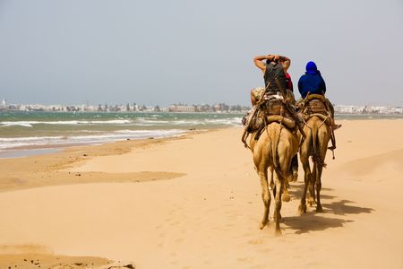 Group of tourists on camels on coast of oceanの写真素材