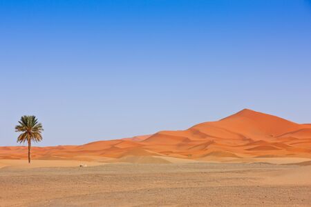 Beautiful Desert Landscape. Sahara, Morocco.の写真素材