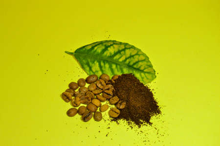 Caffee beans and fine milled. Green leaf and fresh roasted arabica coffee beans. Fine milled beans for turkish caffe.の写真素材