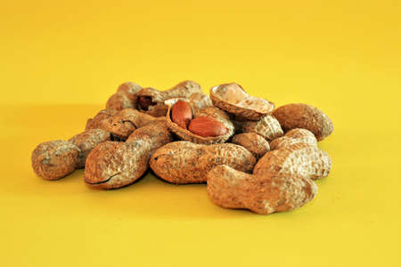 Groups of salted and baked peanuts. Unshelled and shelled peanuts and baked with salt. Isolated...