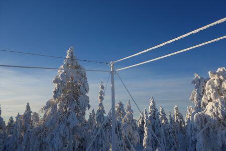 Telephone Pole Covered in Snowの写真素材