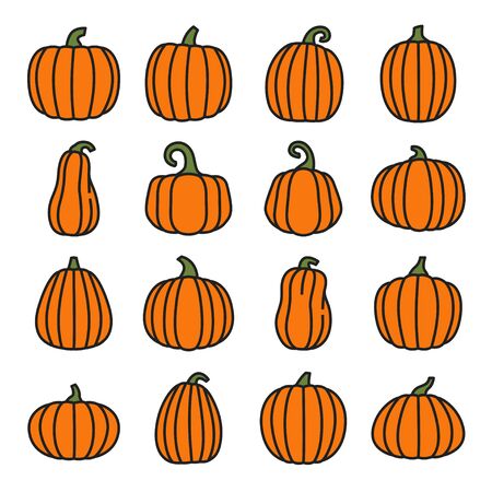 Pumpkin line color icons set. Organic food. Vectorのイラスト素材