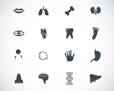 Vector black  anatomy  icons setのイラスト素材