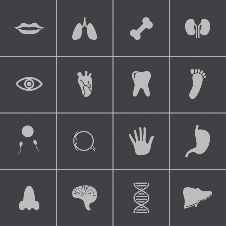 Vector black  anatomy  icons setのイラスト素材