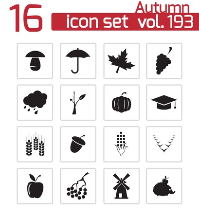 autumn icons set on whiteのイラスト素材