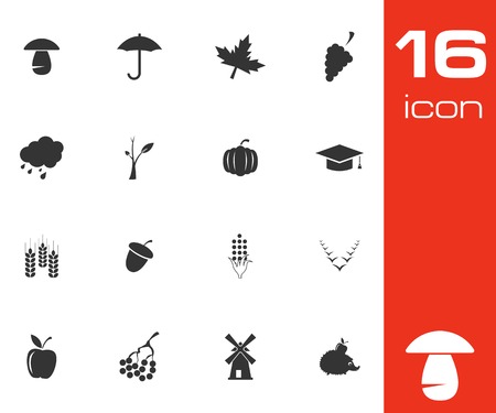 Vector black autumn icons set on white backgroundのイラスト素材