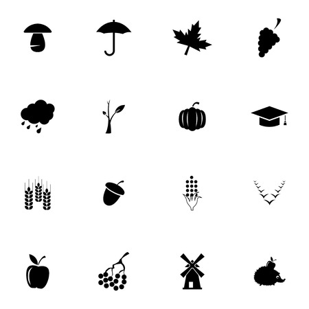 Vector black autumn icons set on white backgroundのイラスト素材