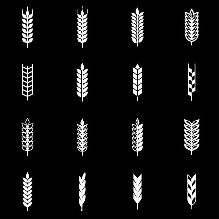 Vector white wheat ear icon set. Wheat ear Icon Object, Wheat ear labels Icon Picture, Wheat ear labels Icon Image - stock vectorのイラスト素材