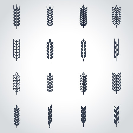 black wheat ear icon set. Wheat ear Icon Object, Wheat ear labels Icon Picture, Wheat ear labels Icon Image のイラスト素材