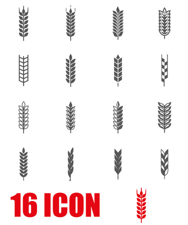 Vector grey wheat ear icon set. Wheat ear Icon Object, Wheat ear labels Icon Picture, Wheat ear labels Icon Image - stock vectorのイラスト素材