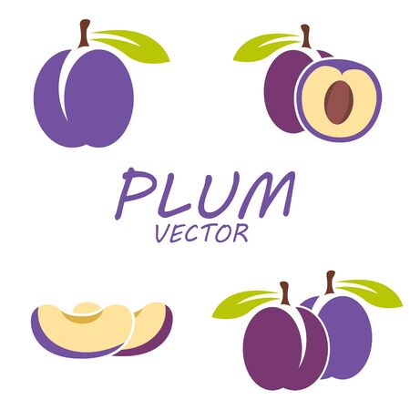 Vector flat plum icons set on white backgroundのイラスト素材