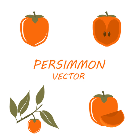 Vector Persimmon icons set on white backgroundのイラスト素材