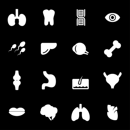 Vector white anatomy icons set on black backgroundのイラスト素材