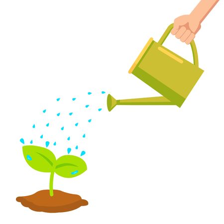 hand holding watering can watering plant in potのイラスト素材
