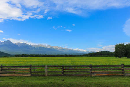 An old fence protects a beautiful green glade with yellow flowers amidst the mountainsの写真素材