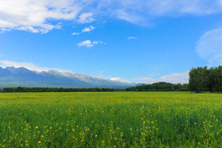 green glade against the backdrop of the mountains in Siberia