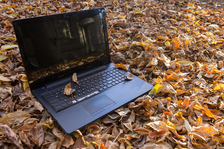 Unnecessary old laptop thrown out into autumn foliageの写真素材