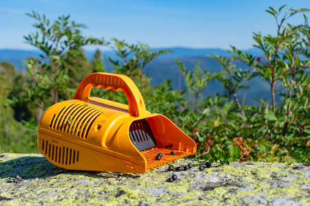 Duck for picking berries. Hand-held device for picking wild berries in the mountains or forest. Collection of blueberries and lingonberriesの写真素材