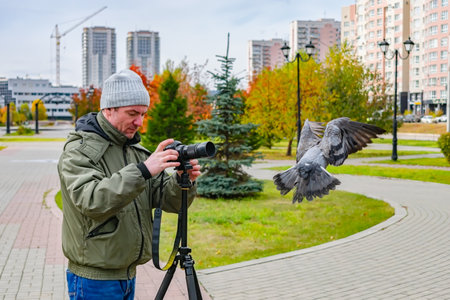 An ornithologist photographer takes pictures and studies of pigeons in autumn in the cityの写真素材