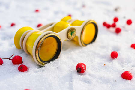 Lost by someone, antique theater binoculars lie in the snow among red rowan berries
