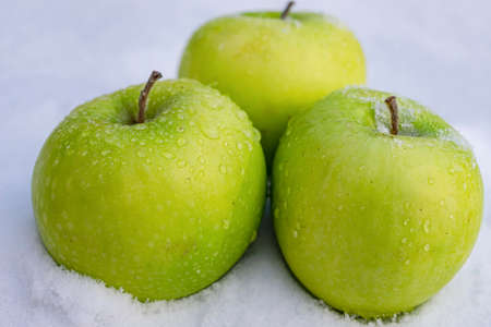 Three ripe and juicy green apples covered with water drops lie on the melted snowの写真素材