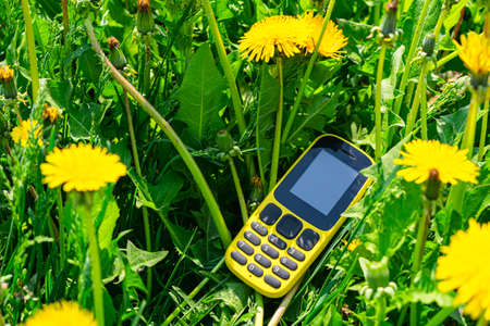 An old mobile phone of yellow color is lying among the spring yellow flowers of dandelions in the grassの写真素材