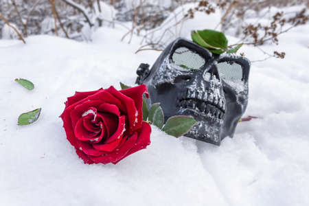 Grave with red rose and black skull on white snow in winterの写真素材