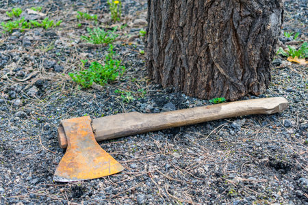 An old and rusty thrown ax is lying on the ground next to a treeの写真素材