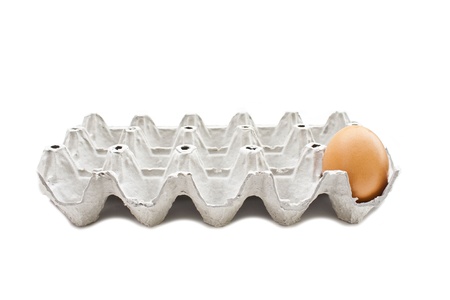 Chicken brown egg 