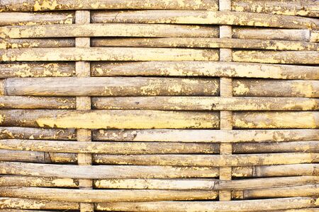 natural bamboo background の写真素材