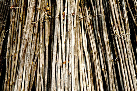 bamboo background の写真素材