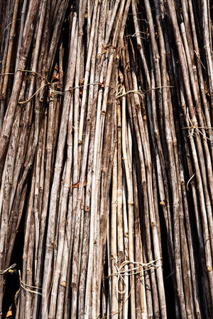 bamboo background の写真素材