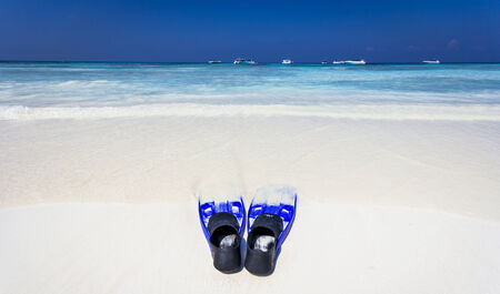 Blue flippers at the Andaman Sea の写真素材