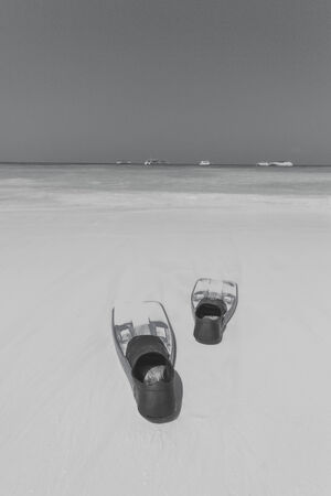 beautiful beach and tropical sea,black and white の写真素材