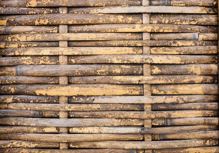 bamboo backgroundの写真素材