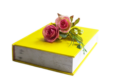 fake rose on the bookの写真素材