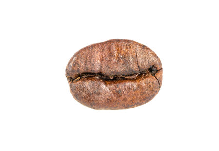 Coffee bean isolated on white backgroundの写真素材