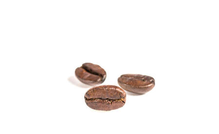 Coffee bean
