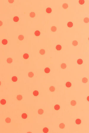 Beautiful pink  dots on whitebackground の写真素材