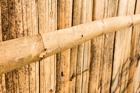bamboo fence backgroundの写真素材
