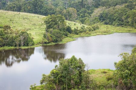 Big lake reflecting shadow and sky inside green tropical forest surrounded by tree, bush and...