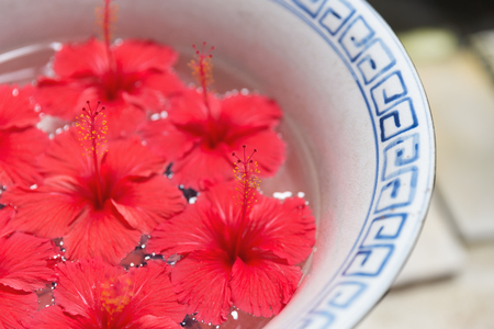 Close focus on pollen of red Hibiscus flowers floating on water inside big bowl for decoration on table.の写真素材