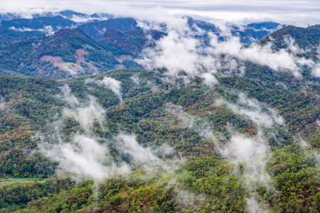 Aerial view of rainforest mountain covered by fog and cloud in winter season of Chiangmai, Thailand.の写真素材
